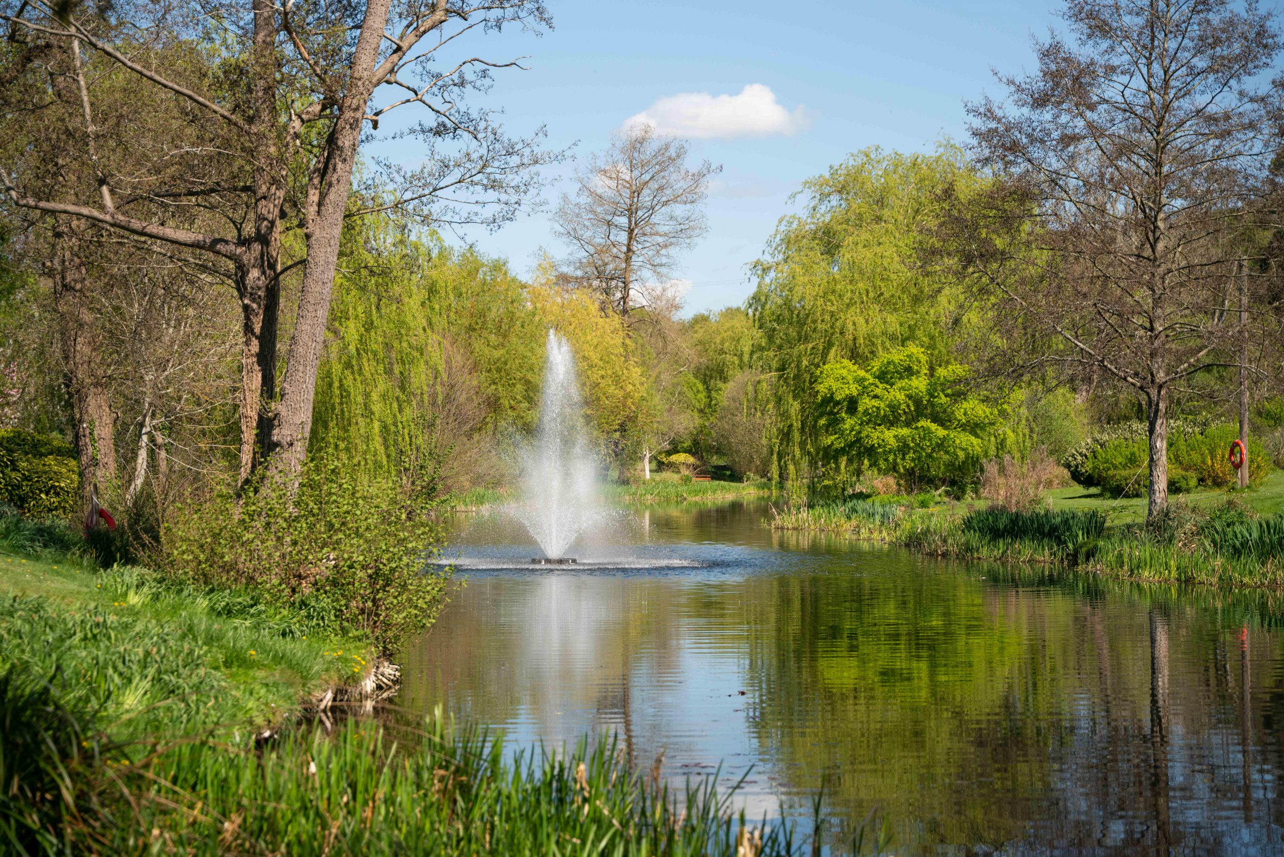 River at Odney Cookham